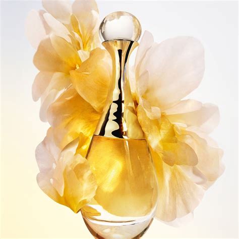 dior j'adore punmiris|dior j'adore l'or 2023.